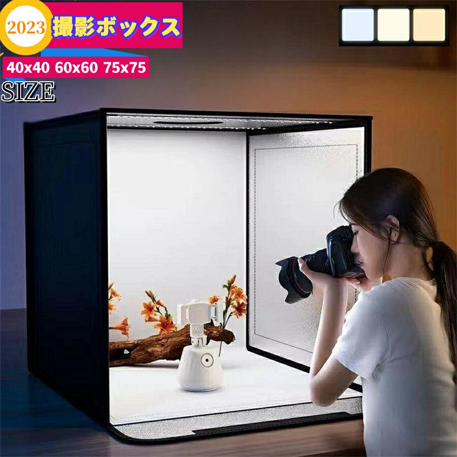 【中古】（非常に良い）Profoto 写真撮影用アンブレラ S用バックパネル 100994