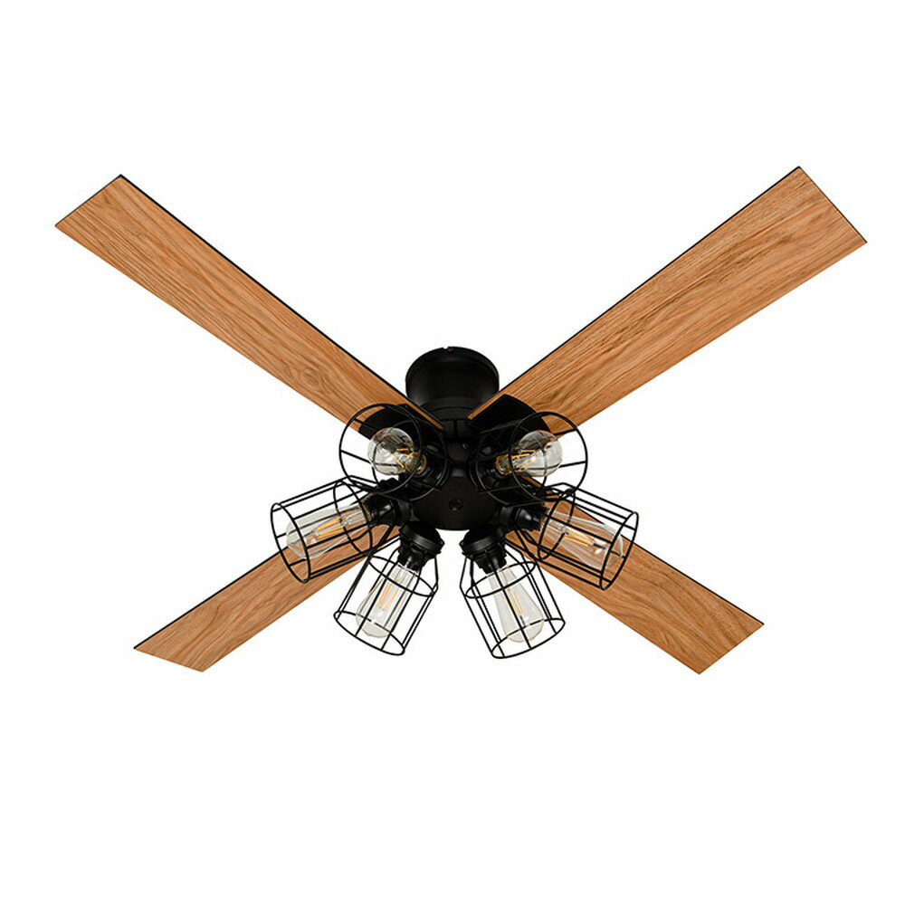 610ݥ10 Modern Collection 󥰥ե եLED 6 JE-CF048 JAVALO...