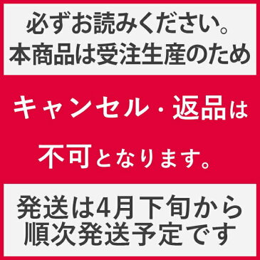 アルコール ハンドジェル 25ml 24本セット 携帯用 アルコールジェル 持ち運び エタノール 銀イオン配合 ヒアルロン酸Na配合 旅行 送料無料 (WEB限定) 【4月下旬以降順次発送予定】