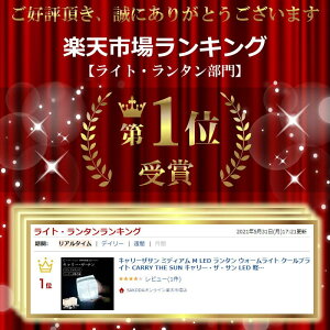 キャリーザサン ミディアム M LED ランタン ウォームライト クールブライト CARRY THE SUN キャリー・ザ・サン LED 軽量 折り畳み ランタン ソーラー ソーラーライト LEDランタン 防災 防災グッズ キャンプ アウトドア 非常用 父の日 YY (WEB限定) TS通販格安セール情報 楽天 通販