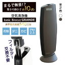 空気清浄機 フィルター交換不要 イオニックブリーズ Ionic Breeze GRANDE グランデ イオニックブリーズグランデ 適用畳数 40畳 空気清浄器 コンパクト ノンフィルター フィルターレス フィルターなし 集塵 静音 静か 花粉 ウイルス 対策 ホコリ 部屋 消臭 ER RL