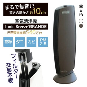 空気清浄機 フィルター交換不要 イオニックブリーズ Ionic Breeze GRANDE グランデ イオニックブリーズグランデ 適用畳数 40畳 空気清浄器 コンパクト ノンフィルター フィルターレス フィルターなし 集塵 静音 静か 花粉 ウイルス 対策 ホコリ 部屋 消臭 ER RL