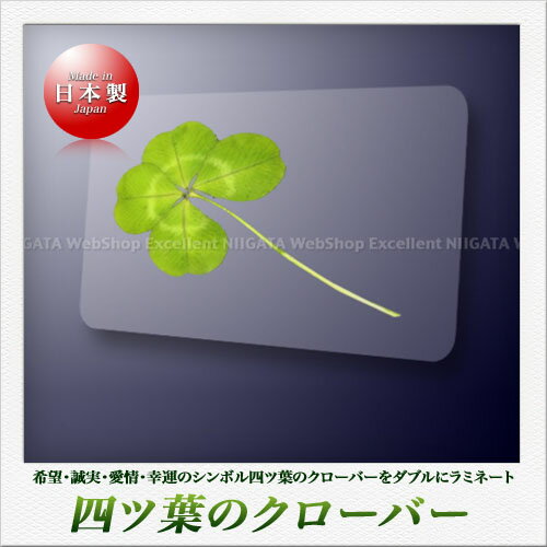 高山園芸 四つ葉のクローバー ラミネートカードのサムネイル