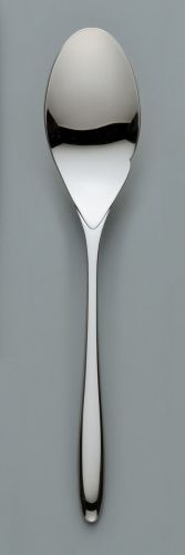 SAKS ジョエル・ロブション・セレクション フィッシュソーススプーン