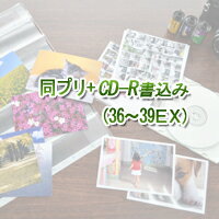 カラーネガフィルムを同時プリント+CD書込み（36〜39枚撮り）【フィルム現像+写真プリント+CD書き込み】