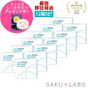【12箱セット】コンタクト ワンデー リフレア シリコーン UV Wモイスチャー 1日使い捨て ワンデイ クリア コンタクトレンズ 6ヶ月分 360枚 1箱30枚入り フロムアイズ refrear UVカット シリコンレンズ