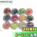 (シャシャン)XIAXIN 乱切り ホログラム 12色 セット 業務用 プロユース 収納容器入り 手芸用品 ネイル用品 ホロ ジェル ネイル レジン クラフト ...