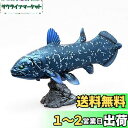 シーラカンス ソフトモデル(FF-001) L18.5×W5.6×H10.5cm