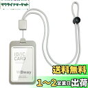 【送料無料】【縦/横・色が選べる】 IDカードホルダー 縦型 両面2枚収納 リール付き 長さ調整可 軽量 社員証ケース 名札 ホルダー パスケース 伸縮可能 メ...