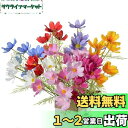 siawadeky コスモス ガーベラ 造花 7本セット 人工花束 混色 おしゃれ 花束 アートフラワー 枯れない花 シルク造花 フェイクフラワー 絹花の花束 ...