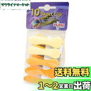南海通商 Laguelle スウィートクリップ 10pcsセット オレンジ 0101-024