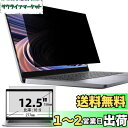12.5インチ(16:9)プライバシーフィルター 覗き見防止フィルター ブルーライトカット ノートブック型 パソコン PC モニター 液晶保護フィルム 反射防止...