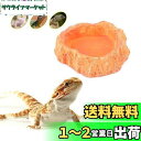 ledmomo 爬虫類 両生類 飼育ケース アクセサリー お皿 お盆 食器 餌入り ウォーターディッシュ ジェックス フィーディングディッシュ 亀 ヤモリ