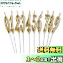 Phyxiul バースデー ナンバー キャンドル 0〜9 10点セット 誕生日 お祝い 高級 ろうそく 記念日キャンドルウエディングパーティー卒業パーティー (...