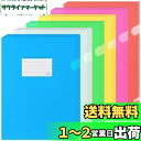 ZCZN ファイルホルダー A4 ファイル収納 タグポケット付き 半透明カラー 6色セット 30枚 資料収納 書類管理