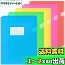 ZCZN ファイルホルダー A4 ファイル収納 タグポケット付き 半透明カラー 5色セット 20枚 資料収納 書類管理