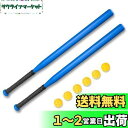 Hikeen 野球バット プラスチックバット 野球 練習用 学習用 バット 子供用 ティーンエイジャー 軽量 滑り止め付き ホームランセット 甲子園 2本セット ボール6個付き 持ち運び簡単 ギフト 子供用(ブルー)