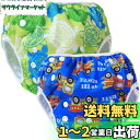 Teamoy 水遊びパンツ 2点セット 0-3歳 赤ちゃん用 ボタンでサイズ調整可能 防水外層 ポリエステルメッシュ内層 オムツカバー スイミング教室・公園・海...