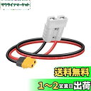 SinLoon バッテリーアダプターケーブル 10AWG ADSプラグコネクター~XT60 50AMP 600V XT60メス 30CM