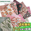 A4 両面デザインペーパー 果物&植物柄 上質紙90 デザぺ 包装紙 10柄50枚 日本製 カラー デザイン用紙 コラージュ ラッピングペーパー ボタニカル