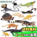 TOYMANY 12PCS動物フィギュア 野生動物フィギュアセット リアルな動物模型 動物園主題 人気動物 おもちゃ 玩具 誕生日プレゼント 飾り物 クリスマス...