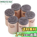 CCINEE 可愛い 木製スタンプ 英語勉強 評価印セット 奨励印章 6個セット