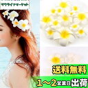 Yesallwas プルメリア 造花 5cm 50個セット 花のみ 白 スポンジ ハンドメイド お花 DIY手作業 結婚式 パーティー用 飾り付け 写真撮影小物