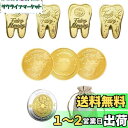 GOODCHI 歯の妖精 金貨 歯と交換するコイン トゥースフェアリー 乳歯 記念メダル 乳歯生え変わり記念 8枚セット 収納袋付き (01)