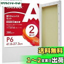 【送料無料】AUREUO 張りキャンバス セット P6 (41cmX27.3cm) 中目 100%コットン 2枚 初心者 絵画用具 芸術絵創作 現代油絵 美術装飾 水彩画・油絵画・アクリル兼用
