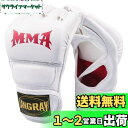 LangRay ハーフフィンガー グローブ 手袋 MMA 総合格闘技 ボクシング ムエタイ 空手 テコンドーなど トレーリング用 メ ンズ レディース