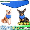 犬用クールバンダナ 犬クールネック 犬用冷感リング ペット用冷却首輪 犬用クールスカーフ 冷却タオル ペット用冷感首輪 冷却スカーフ 涼感ボーダー 暑さ対策グッ...