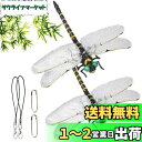 Ikiretmua おにやんま オニヤンマ 虫除けおにやんま 虫よけオニヤンマ 虫よけトンボ 虫よけ 蜻蛉 トンボ 【本物とそっくり】 12cm とんぼ 虫除けグッズ べランド 網戸 釣り 山登り 玄関 キャンプ屋外 アウトドア 飾り 屋内使用にも可能 虫避け対策品 (2PCS)