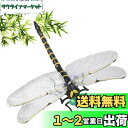 Ikiretmua おにやんま オニヤンマ 虫除けおにやんま 虫よけオニヤンマ 虫よけトンボ 虫よけ 蜻蛉 トンボ 【本物とそっくり】 12cm とんぼ 虫除けグッズ べランド 網戸 釣り 山登り 玄関 キャンプ屋外 アウトドア 飾り 屋内使用にも可能 虫避け対策品 (1PCS)