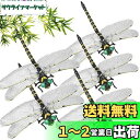 Ikiretmua おにやんま オニヤンマ 虫除けおにやんま 虫よけオニヤンマ 虫よけトンボ 虫よけ 蜻蛉 トンボ 【本物とそっくり】 12cm とんぼ 虫除けグッズ べランド 網戸 釣り 山登り 玄関 キャンプ屋外 アウトドア 飾り 屋内使用にも可能 虫避け対策品 (5PCS)