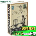 Jssmst(ジェスマット) 辞書型金庫 隠し金庫 ダイヤル式 24x16x5.5cm 防犯収納 CB0901M (ニューヨーク)