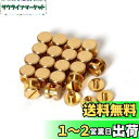 シカゴスクリュー 20個入り 8×4×3mm 真鍮組ネジ コンチョ バッグ ベルト 底びょう リベット スタッズ パーツ 鋲 リベット スタッド ネジ式 レザークラフト DIY ハンドメイド パーツ