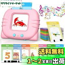 【送料無料】幼児 英語 カード 音声 日本語 フラッシュカード 子供 ことば おもちゃ 3歳 4歳 5歳 6歳 男の子 女の子 プレゼント 単語 読み上げマシン flash cards 112枚224語