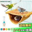 鳥たちの寝床 デグーハンモック暖かい小動物の家の巣 バードテント 含むインコ 止まり木 鳥のおもちゃ インコ ハムスター デグーに適しています (S)