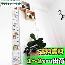 子供 身長計 かわいい 身長を測る 200cm 壁に掛ける 動物柄 壁...(4)