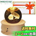 【最新正規品】オルゴール クリスマス ギフト スノードーム 誕生日プレゼント 女性 クリスタル ボール 猫&毛糸団 スノードーム 月のランプ LEDライト 12...