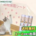 LOOBANI 猫 壁紙保護シート 壁紙シール おしゃれ はがせる壁紙 爪とぎ防止シート 半透明 ペット ひっかき 防止 はがせるタイプ 貼るだけ簡単 落書き防止 賃貸OK 壁/家具/柱/机/ドアなどの傷 汚れ防止 (45cm*2.5m)