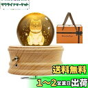 【2024年 正規品】オルゴール プレゼント QUEENBABI 柴犬 オルゴール クリスタルボール 誕生日プレゼント女性 人気 間接照明 クリスタル LEDライト USB充電式 投影機能 インテリア 癒しグッズ おしゃれ 手作り 雰囲気作り かわいい 結婚祝い 出産祝い クリスマスプレゼン