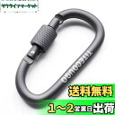 TITECOUGO アウトドア カラビナ おしゃれ 登山 小型 アルミ Dフック 頑丈 ネジロック バンジーコード ブランコ hammocks テント ?キャン...