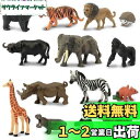 TOYMANY ミニ動物フィギュア 14PCSミニ野生動物フィギュアセット リアルな動物模型 動物園主題 ミニモデル 人気動物 おもちゃ 玩具 誕生日プレゼント...