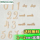 【送料無料】Promise Babe 月齢フォト ニューボーンフォト ベビーマンスリーカード 19枚セット ウッド 天然木材 記念 写真道具 撮影アイテム 成長...