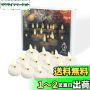 Actpe LEDティーライトキャンドル タイマー付き 揺らめく炎 12個 電池式 リアル 明るい 無香 ティーライト フェイクキャンドル ロマンチック 結婚式/ご家庭/クリスマスの装飾/誕生日/ハロウィンに 温白色