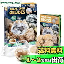 XXTOYS クリスタルジオード 水晶ジオード クリスマス プレゼント クラッキング 自分で割る 鉱石発掘 晶洞 geode 天然石 10個セット