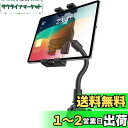 woleyi グースネック エアロバイク タブレット ホルダー フィットネスバイク iPad スマホ スタンド 角度調整可能 トレッドミル/ベビーカー/ポール取付 260mm スーパーロング アーム 360度回転 自由調節 安定性 日本語説明書付き 4-13インチ全機種対応:iPad Pro 12.9 11