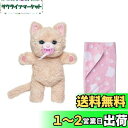 タカラトミー(TAKARA TOMY) だっこして ネルン ふわふわこねこ ネルン本体(おしゃぶり付き)(1) ブランケット(1) 取り扱い説明書(1)