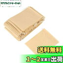 Kingsie お茶バッグ 100枚セット 紐付き お茶だしパック 使い捨て 無漂白 フィルター濾紙 ティーバッグ 茶葉 紅茶 緑茶 コーヒー用